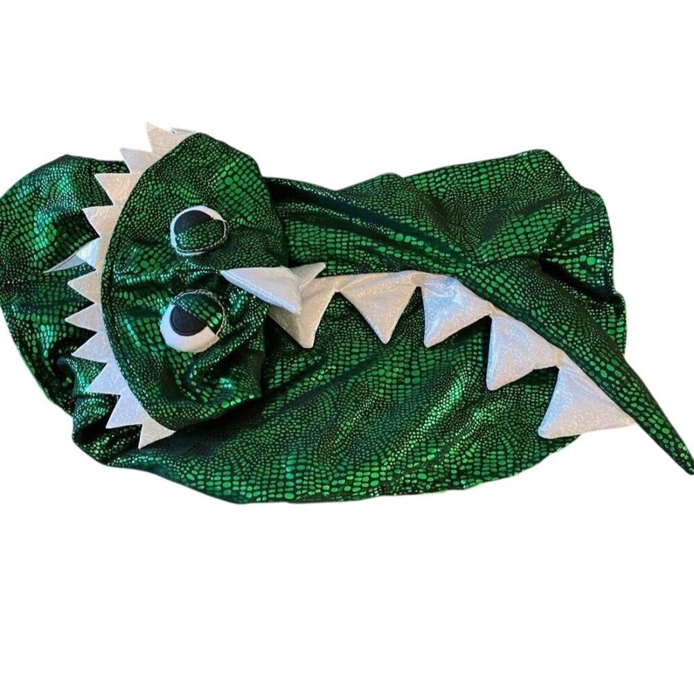 Dinosaur Green Halloween Dog MICHAELS Pet Costume LG
